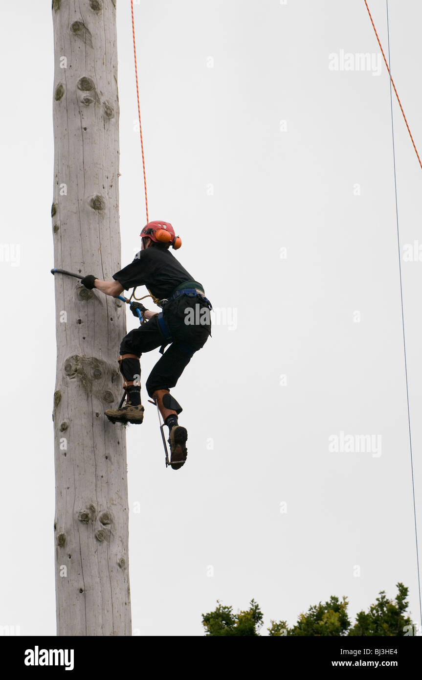 Great Yorkshire Show pole climbing competition Stock Photo Alamy