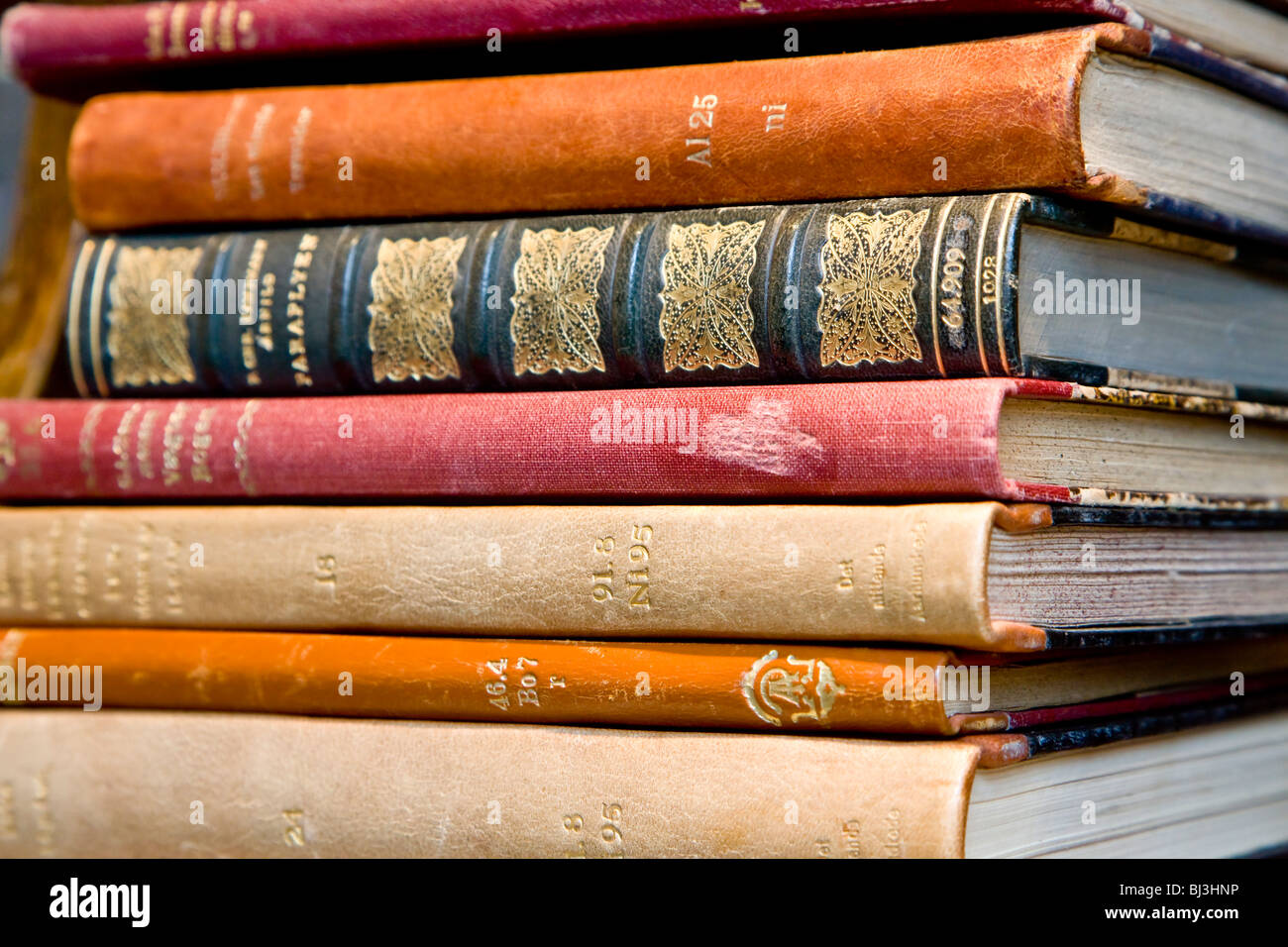 Pile of old books Stock Photo