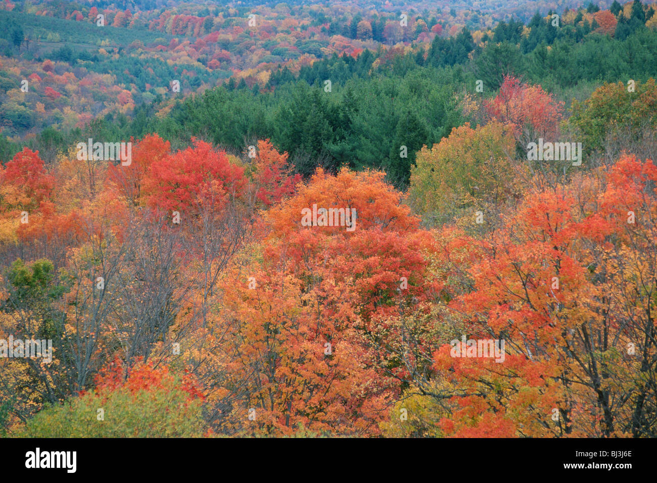 Season color hi-res stock photography and images - Alamy