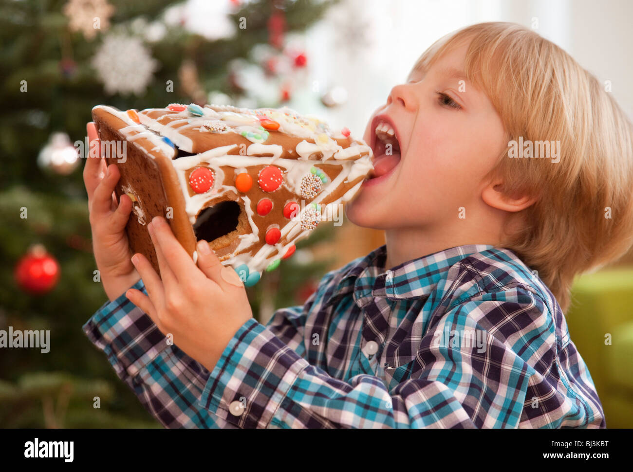 boy eating gingerbread house Stock Photo