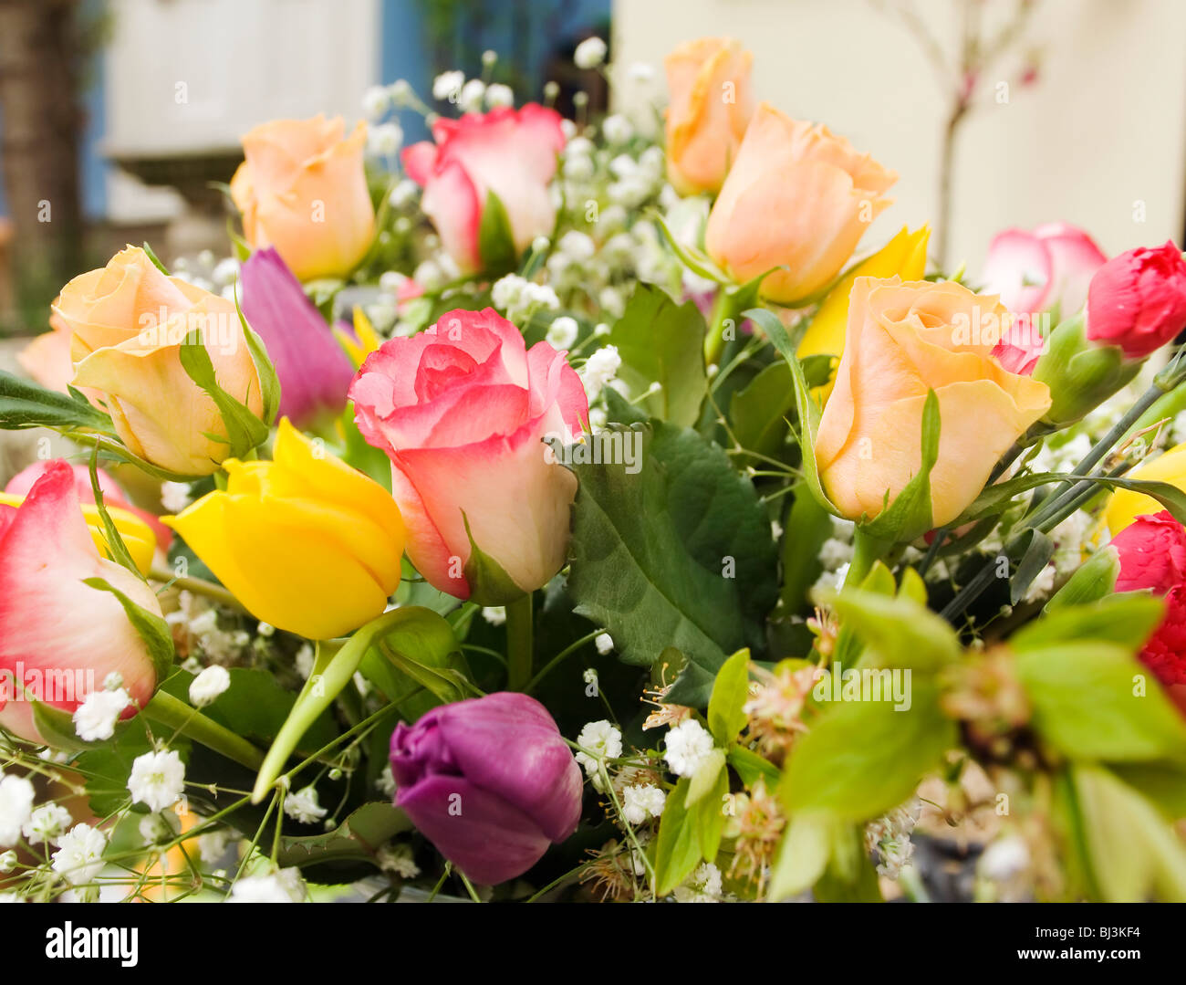 Spring flower arrangement in vase with roses, tulips  green leaves Stock Photo