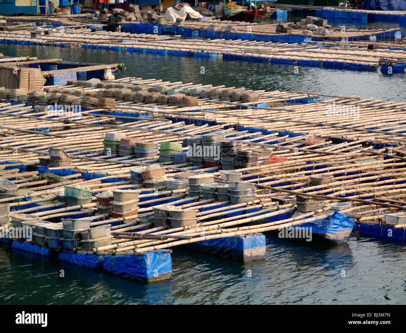 Vietnamese fish farming hires stock photography and images Alamy