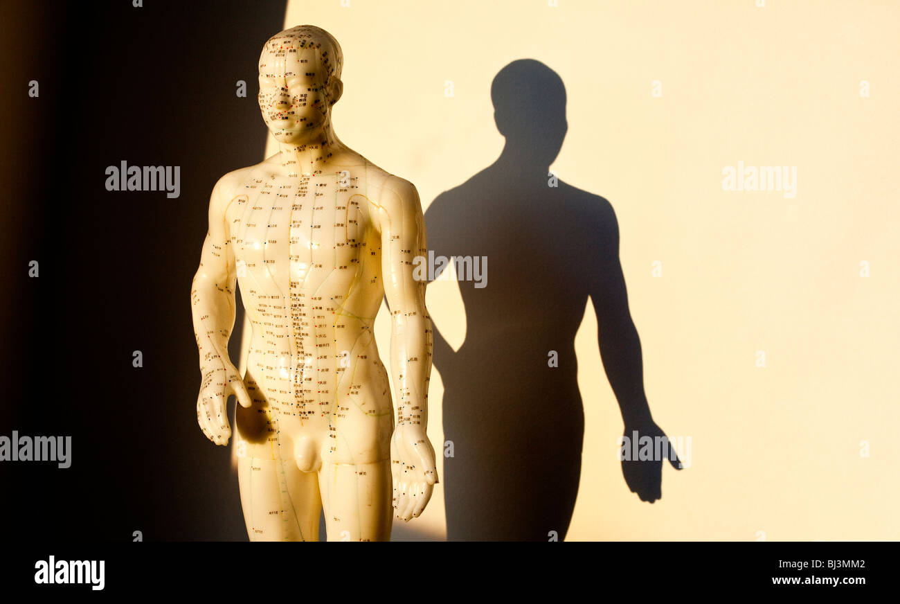 Acupuncture figure with shadow Stock Photo