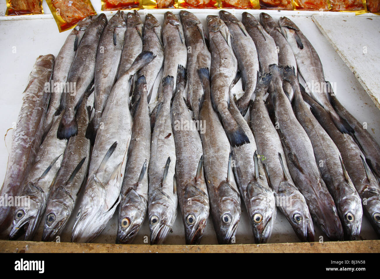 Fish, Puerto Montt, southern Chile, Chile, South America Stock Photo