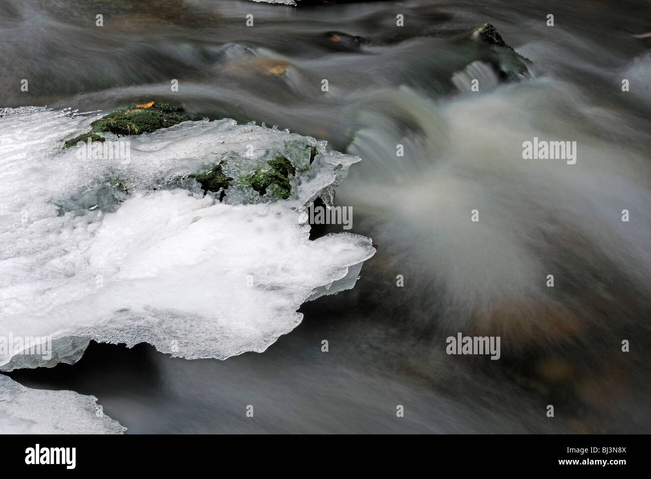 Closeup stream flowing in forest hi-res stock photography and images ...