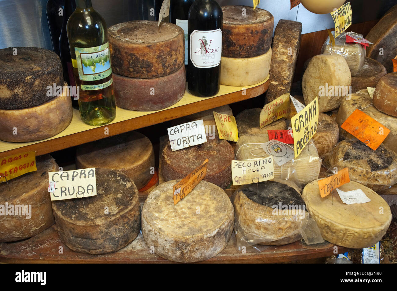 Pecorino cheese in a deli shop, Cacioteca, Lucca, Tuscany, Italy, Europe Stock Photo