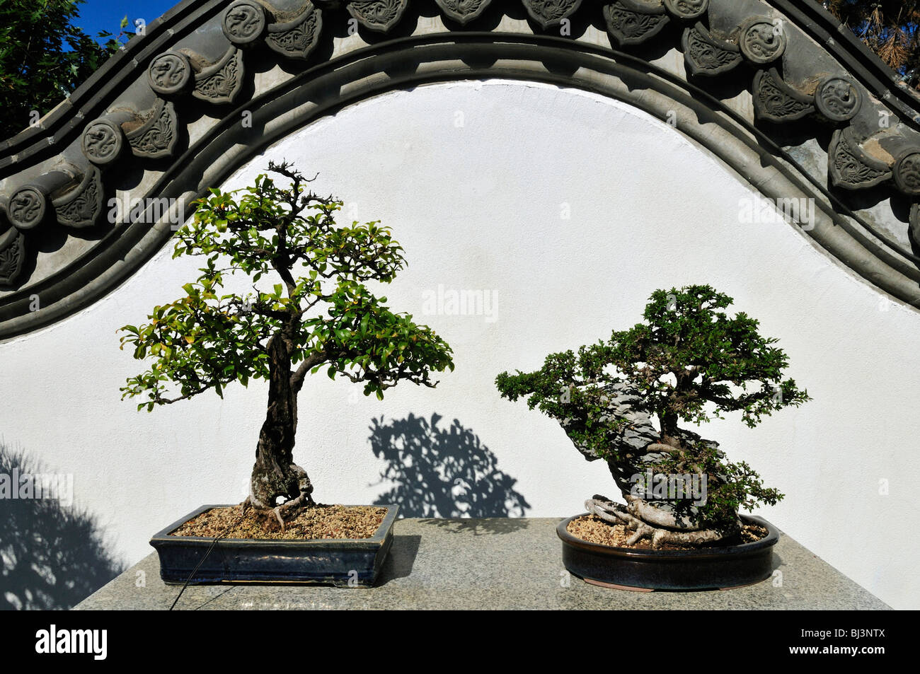 Jardin botanique hi-res stock photography and images - Alamy