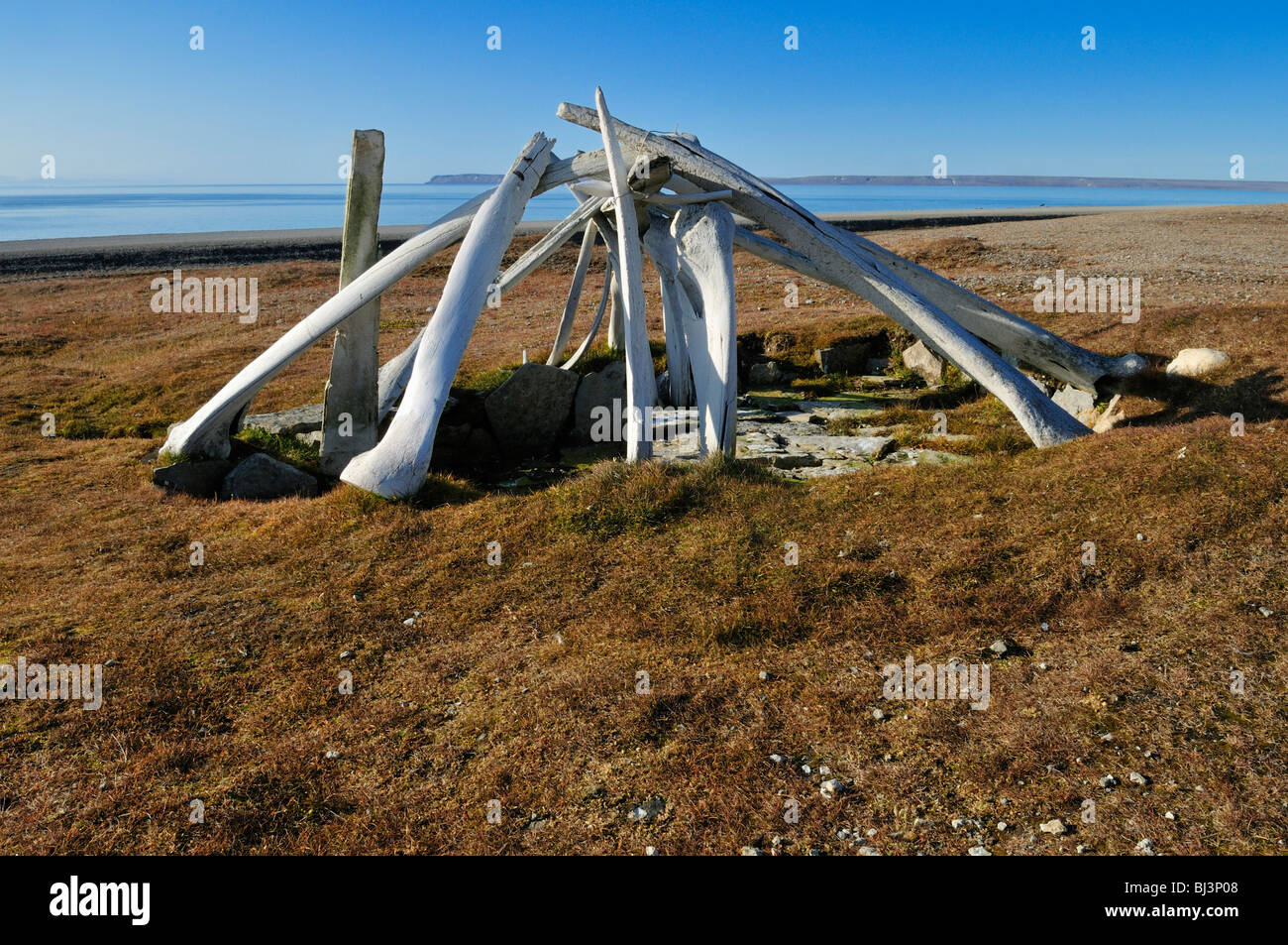 Historic Inuit house from the Thule Culture made out of whale bones, Resolute Bay, Cornwallis Island, Northwest Passage, Nunavu Stock Photo
