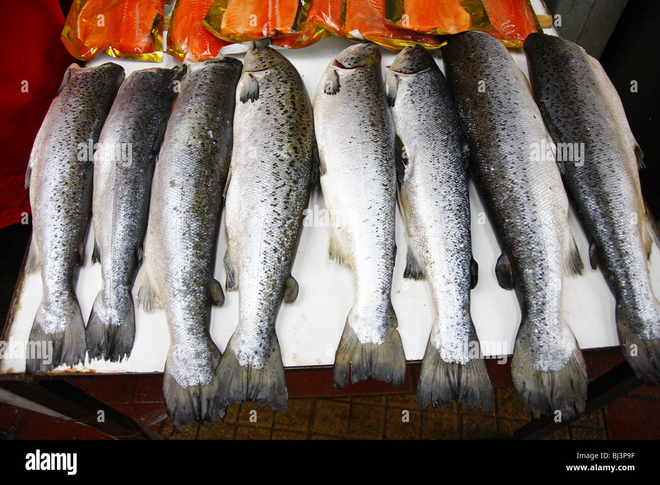 Fish Line  Puerto Montt