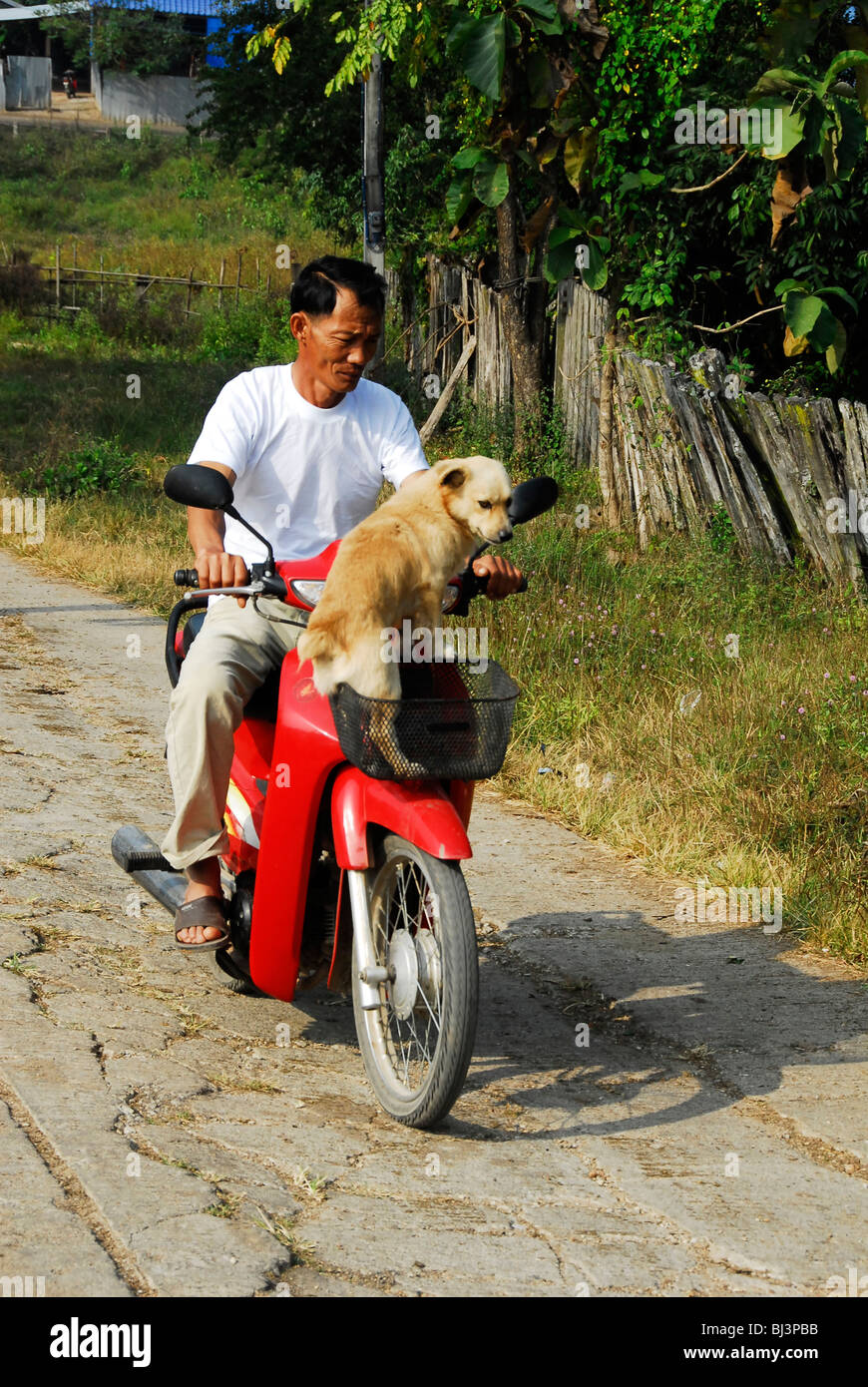 Off Duty Guard With His Poodle Umpium Refugee Campthai Burmese Border