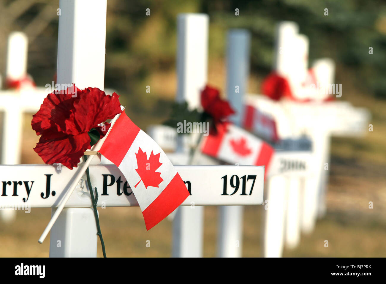 A Canadian flag sits on the cross of a fallen soldier at a memorial for Remembrance Day in