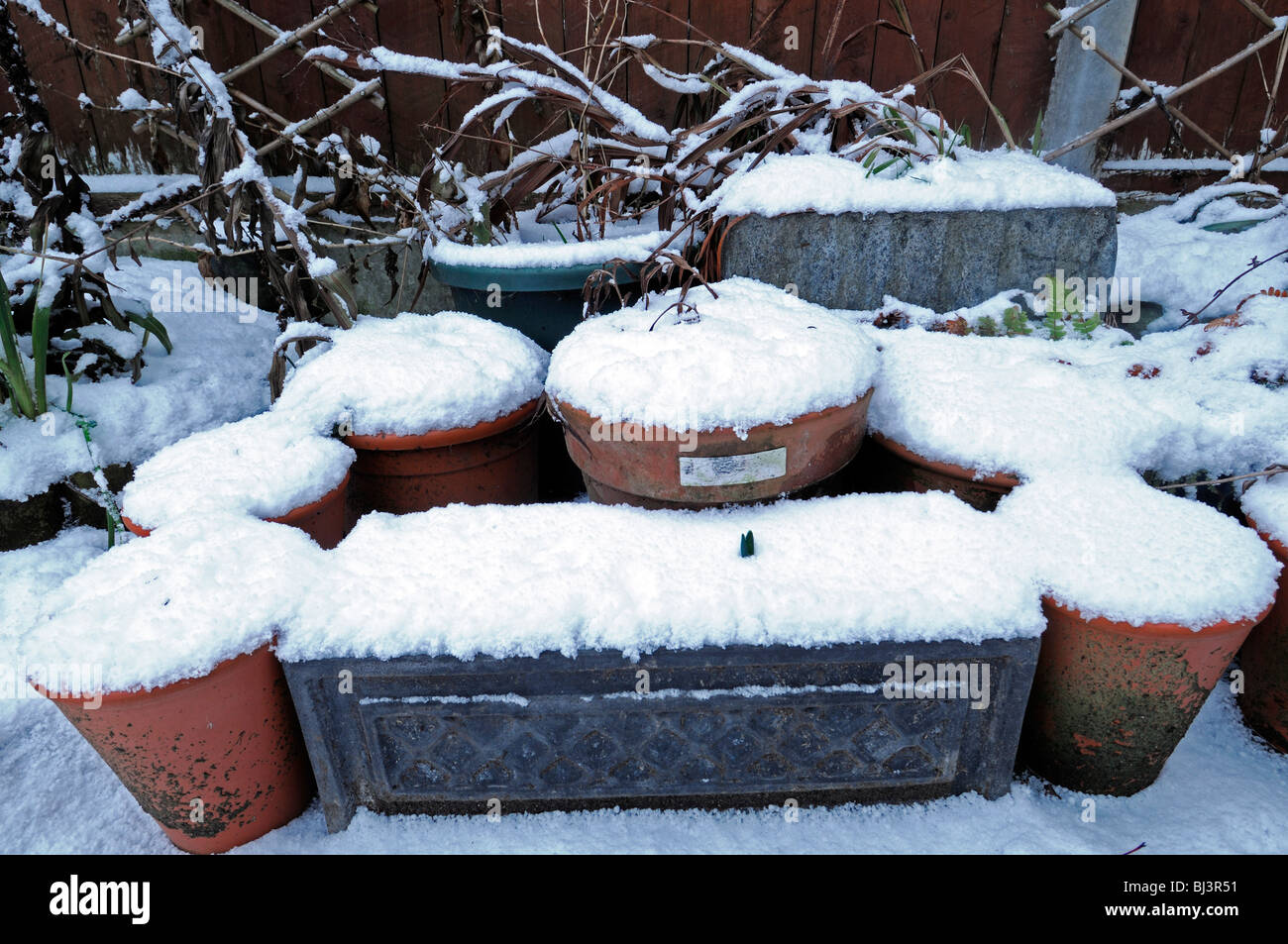 Garden Pots Plants Cover Covered Blanketed Blanket Of Snow
