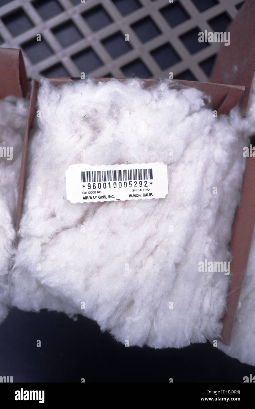 A sample of cotton marked for various grade quality Stock Photo Alamy