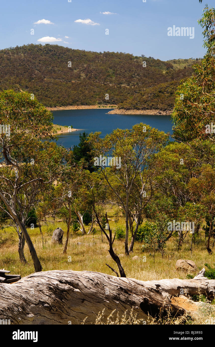 MONARO, Australia — The expansive rural landscape of the Monaro region unfolds along the Monaro Highway. Rolling hills covered in golden grass stretch to the horizon, dotted with scattered gum trees, exemplifying the austere beauty of New South Wales' high country. Stock Photo