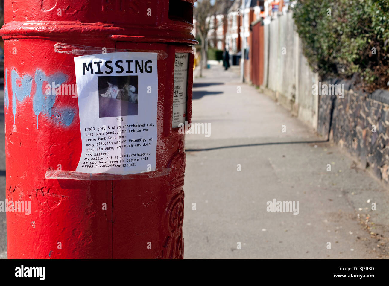 Missing pet poster. Stock Photo