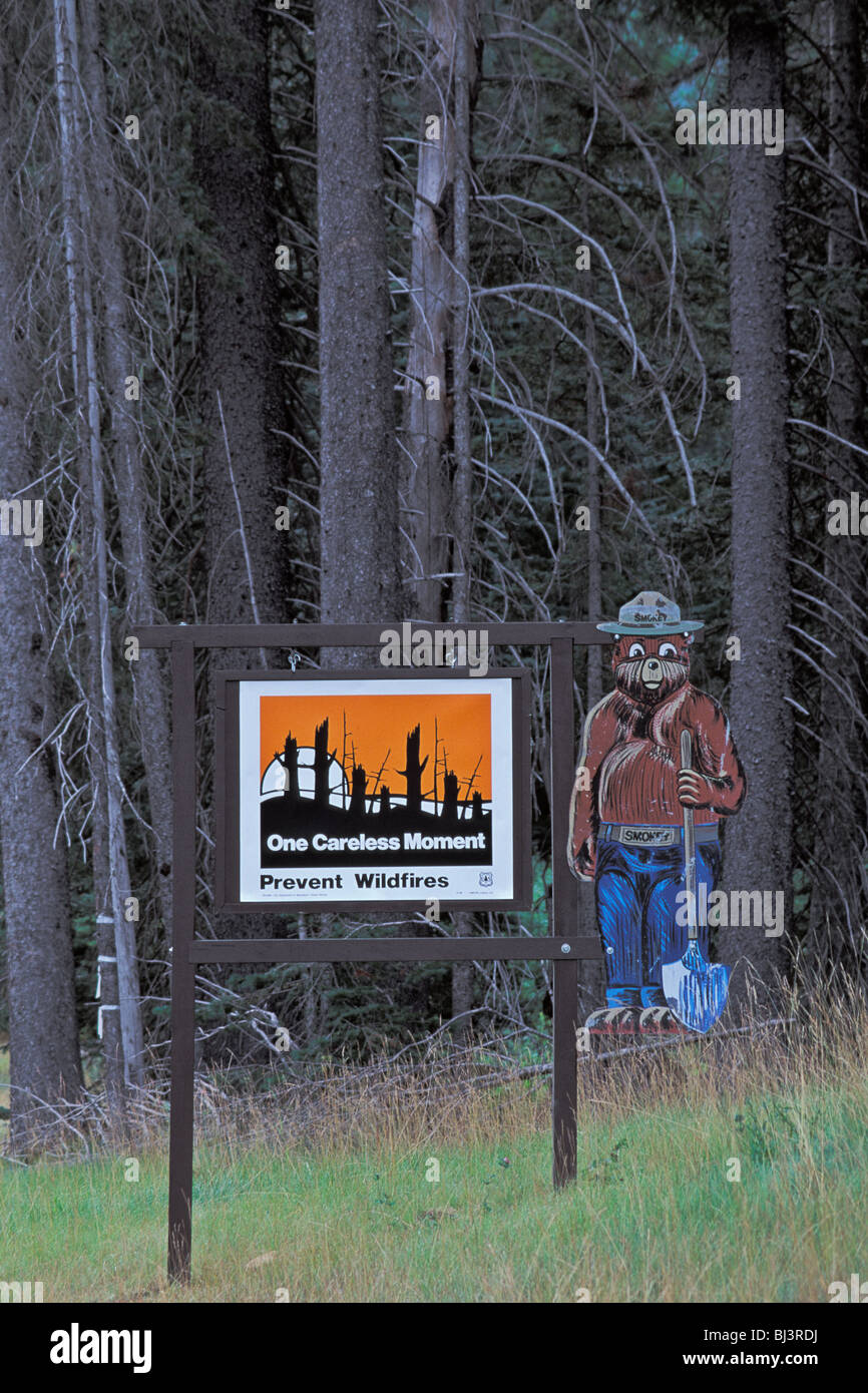Smokey Bear Wildfire Prevention Sign Wenatchee National Forest Near Mount Rainier Washington Stock Photo