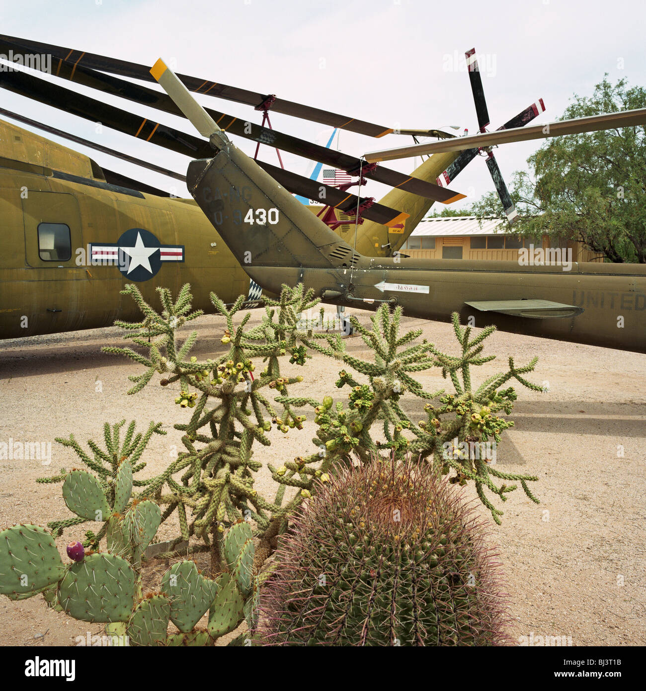 Two US Navy helicopters have been parked next to some cacti at the Pima Air and Space Museum near Davis Monthan Air Force base. Stock Photo