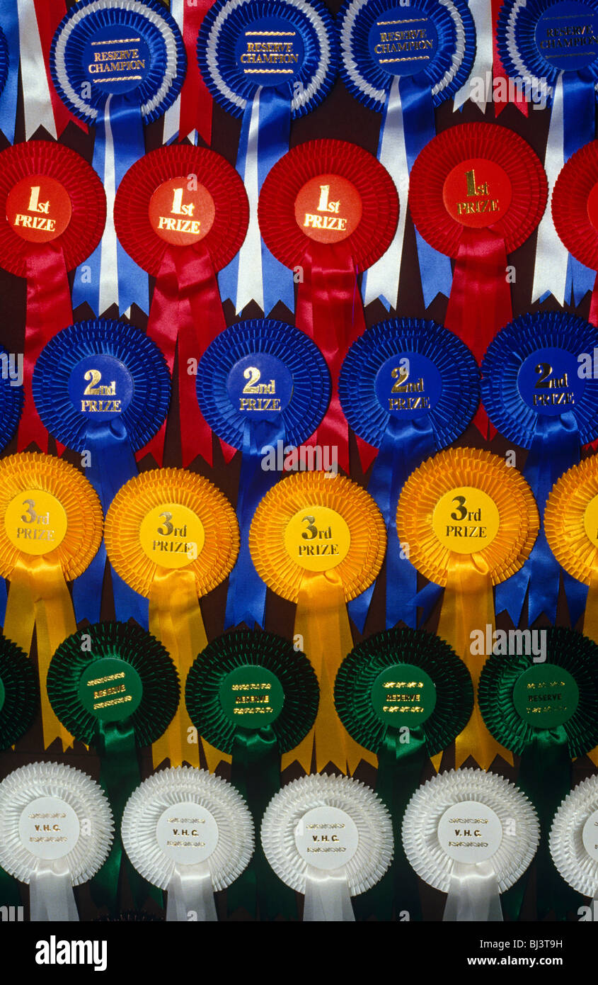 Winners and losers rosettes on a board before the end of an equestrian competition. Stock Photo