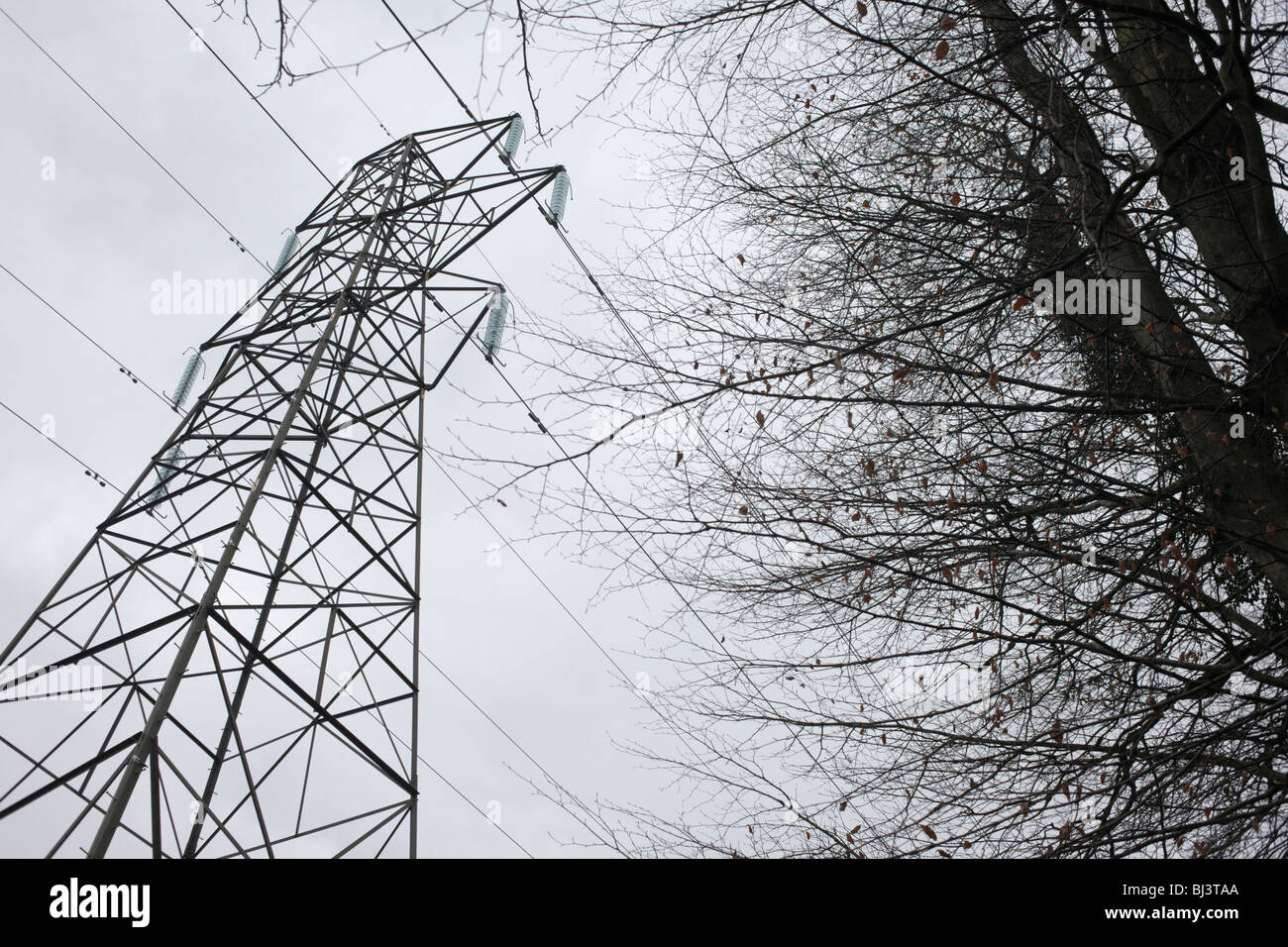 The dark outline of an electricity pylon stands over a gloomy winter sky in woodland near Wrington North Somerset England Stock Photo