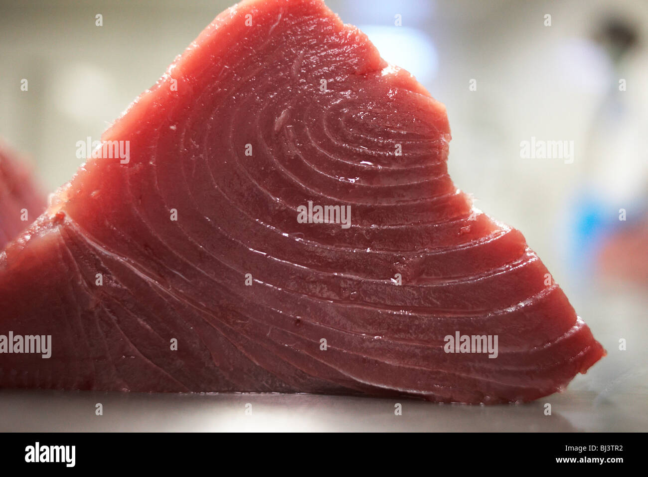A chunk of prime yellow fin tuna fish steak lies after filleting on a table in a processing factory. Stock Photo