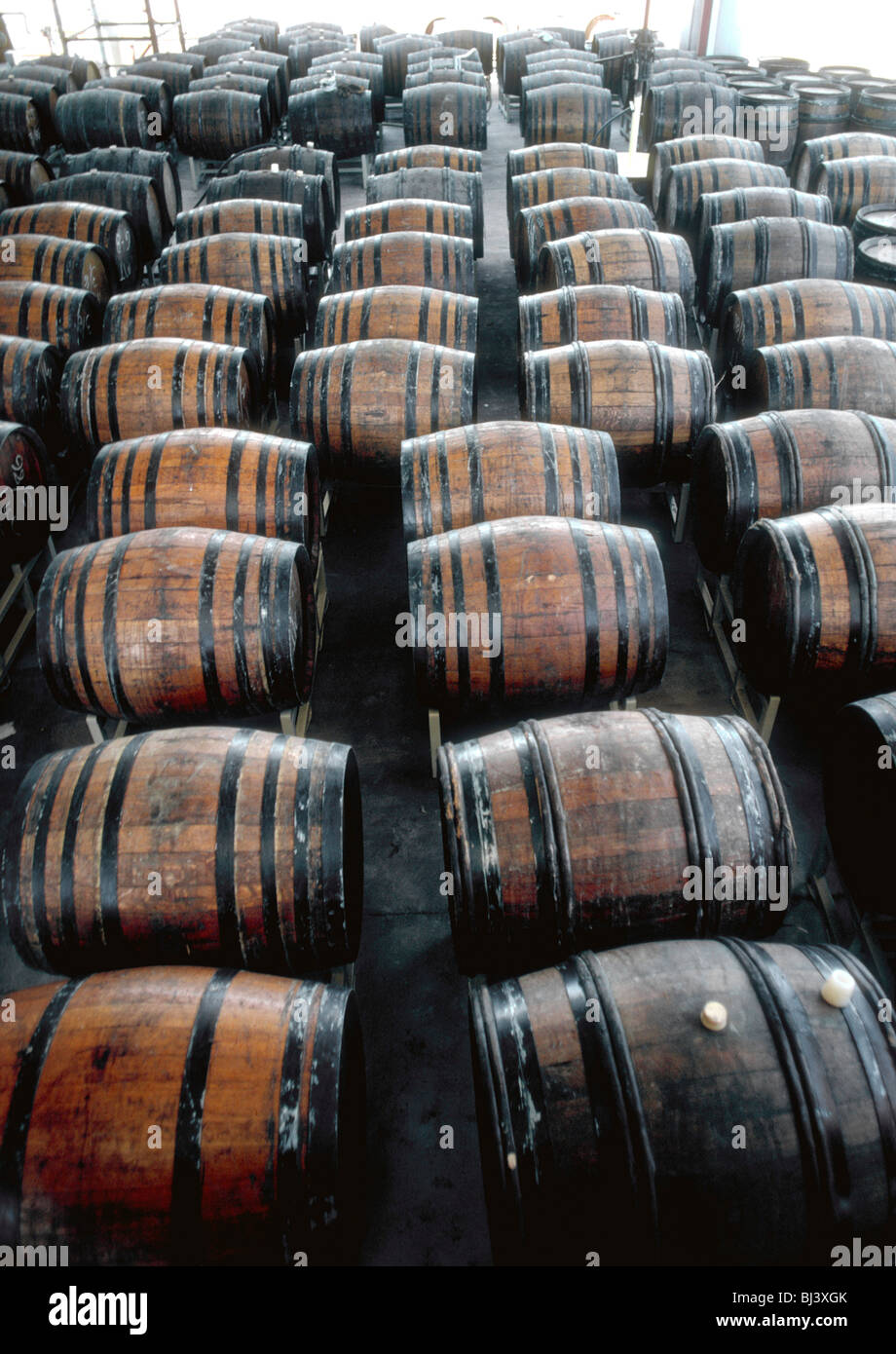 Wooden Wine Barrels In California Stock Photo Alamy   Wooden Wine Barrels In California BJ3XGK 