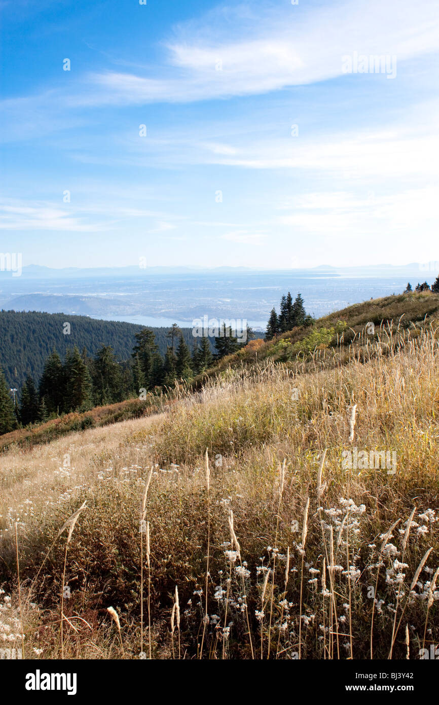 Hillside in summer with beautiful blue sky on top of Grouse Mountain facing East toward Vancouver city, British Columbia Stock Photo