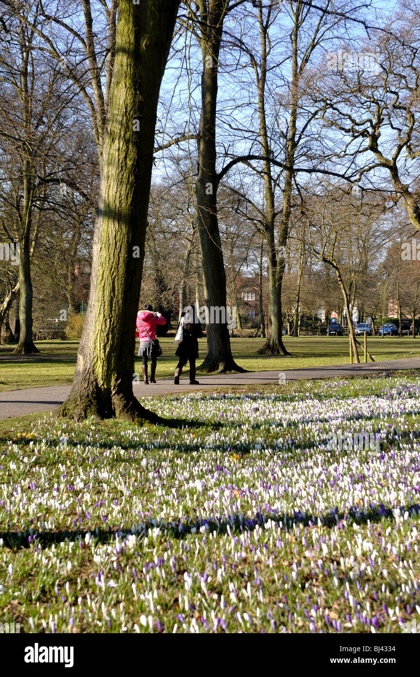 Bournville park public parks sunny hires stock photography and images