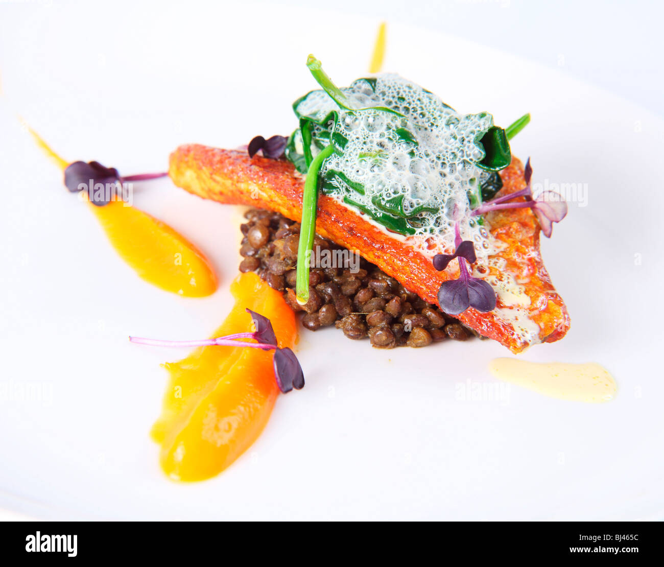 Pan Fried Red Mullet on a Bed of Curried Puy Lentils with Butternut Squash Puree Stock Photo