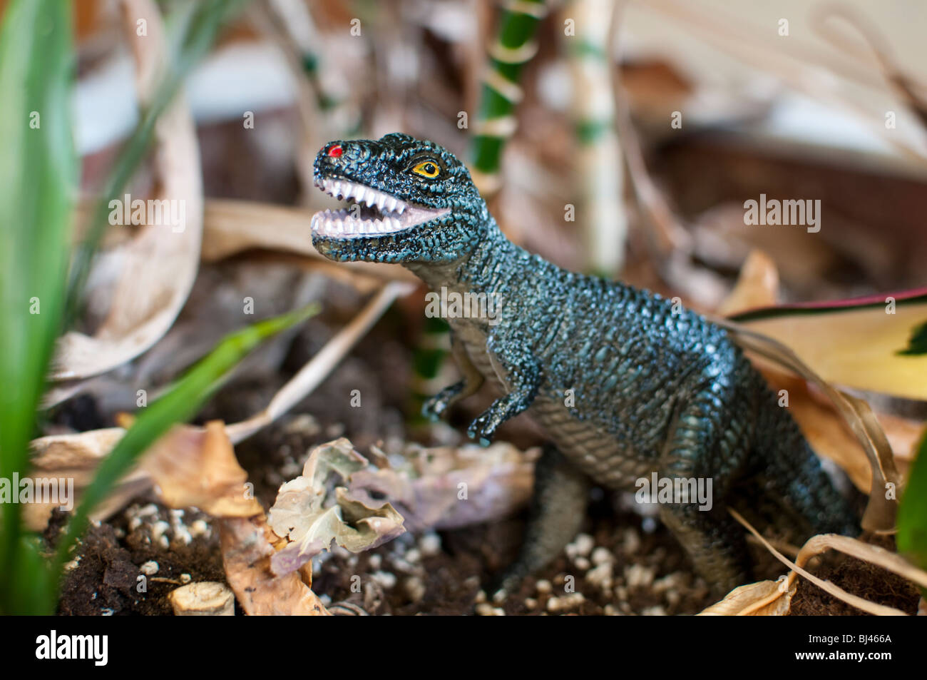 Plastic toy T Rex Dinosaur with plants in background Stock Photo