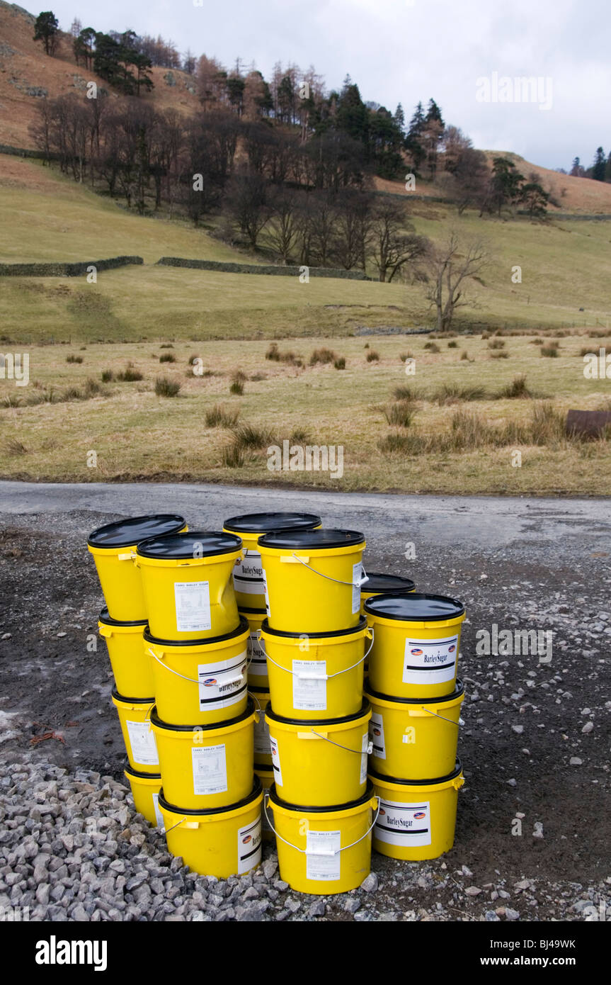 Tubs of mineral supplement waiting for distribution on a sheep farm in the English Lake District Stock Photo