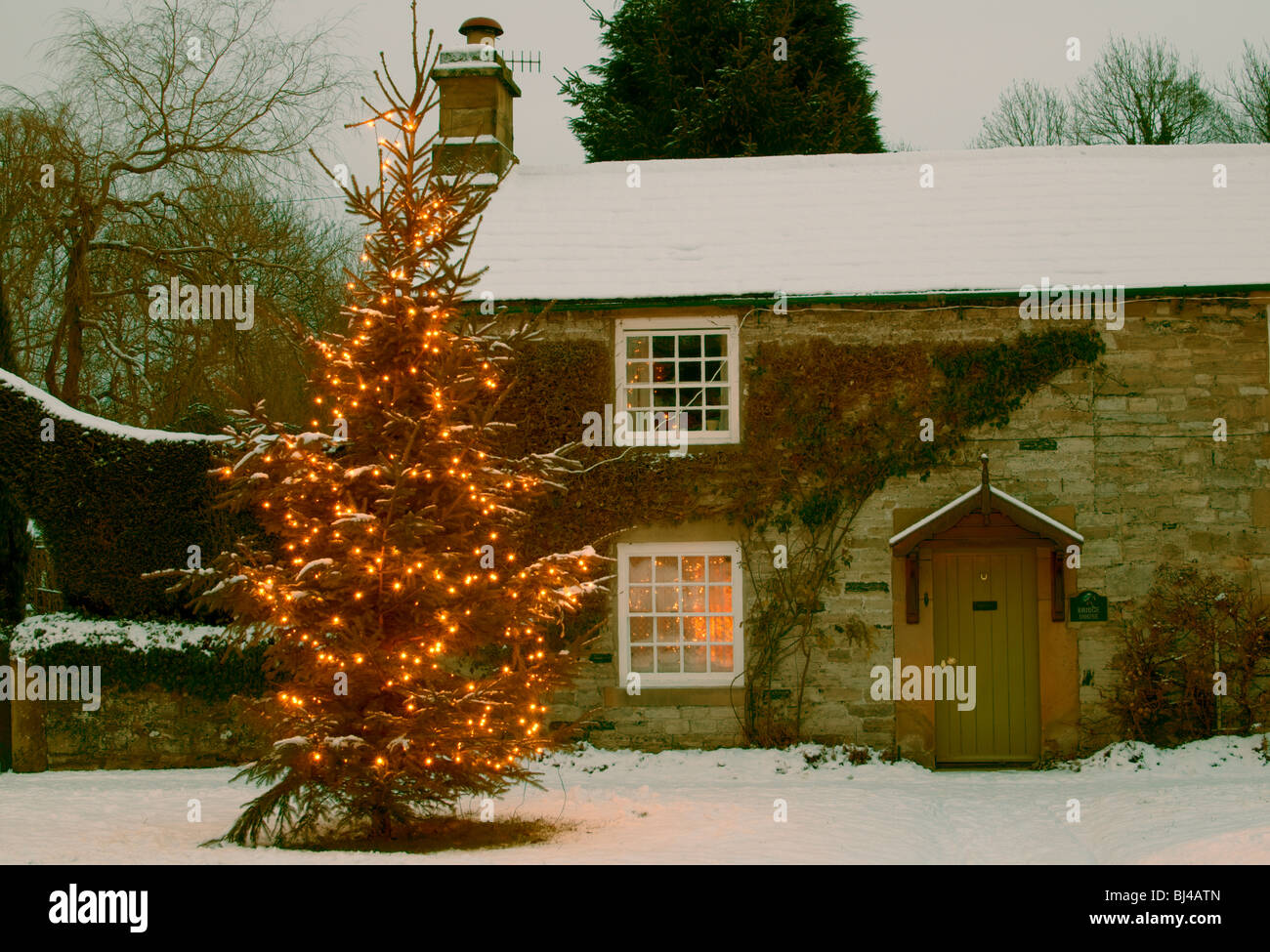 Cottage With Christmas Tree Derbyshire Village Of Ashford In The