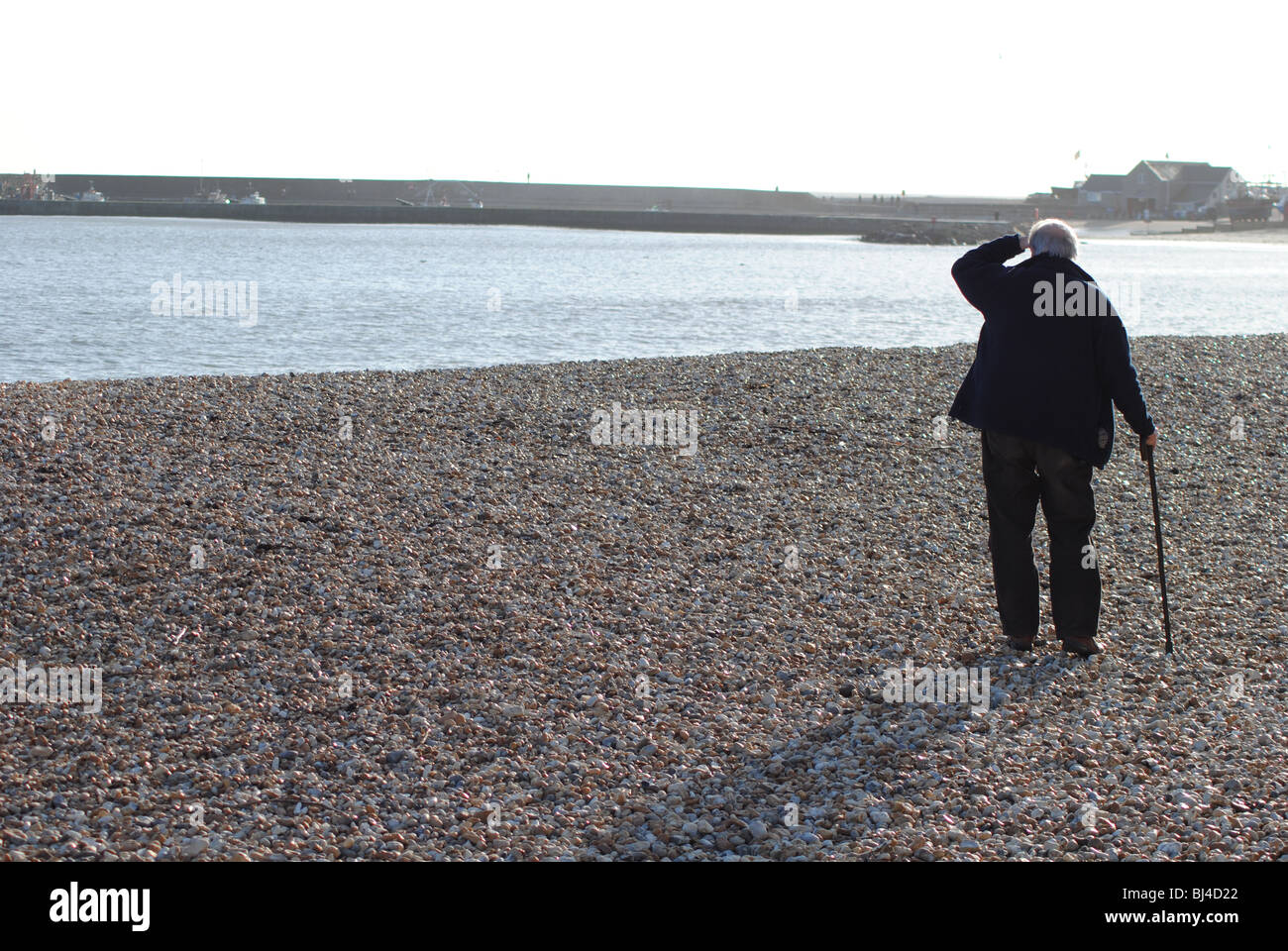 Old man with walking stick walking on the beach at Lyme Regis. Cobb Harbor in background Stock Photo