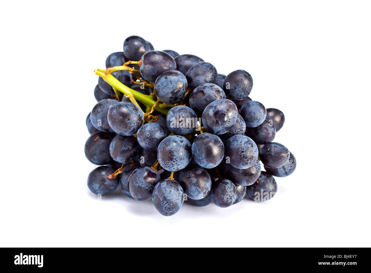 Yeast on grape skin hires stock photography and images Alamy