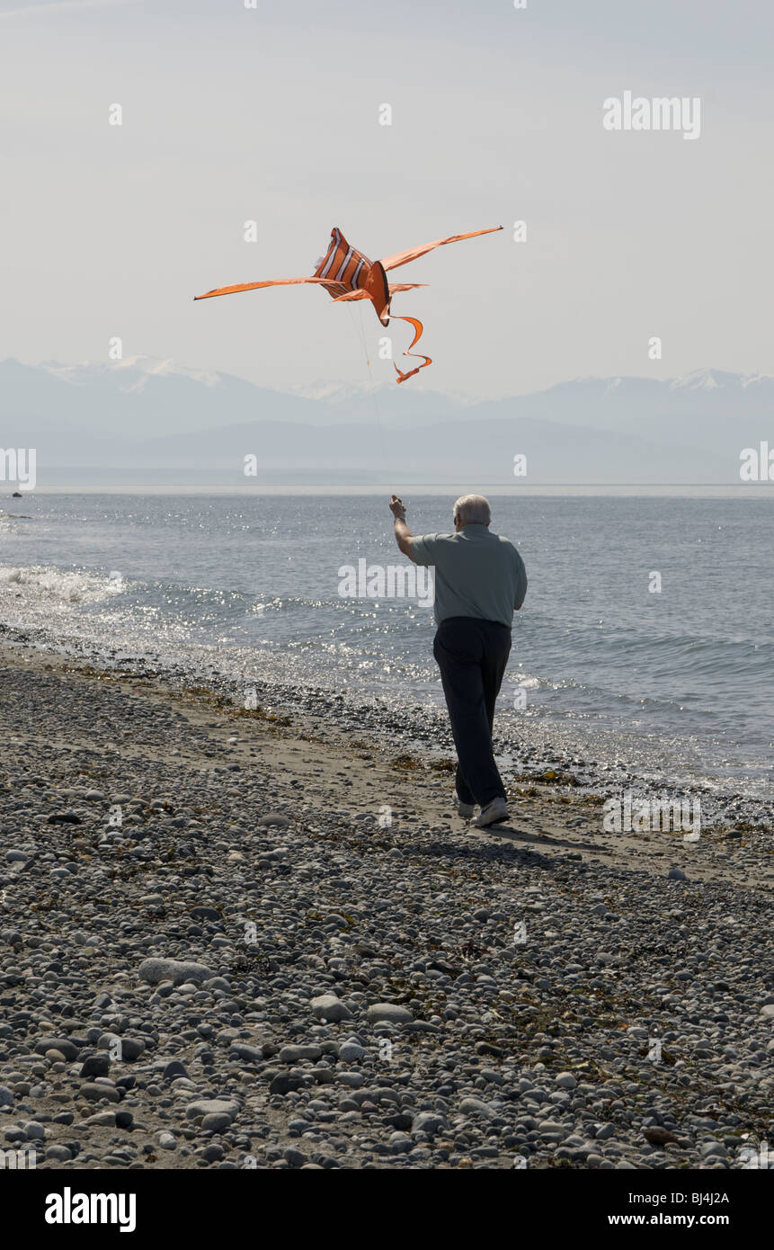 Fying a Kite Stock Photo
