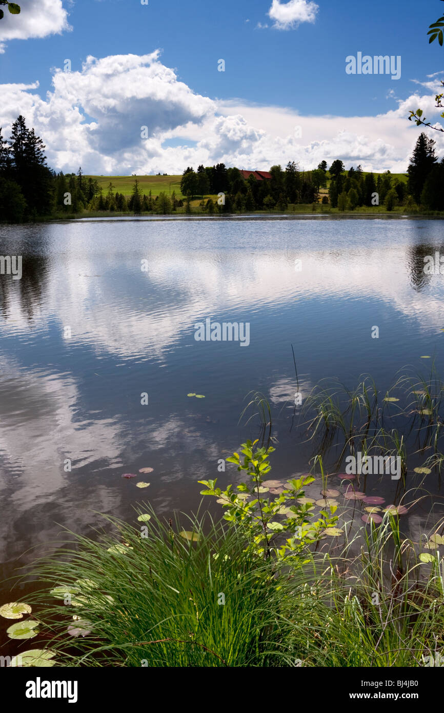 Lake with landscape, Schwaigsee Lake, Bavaria, Germany Stock Photo