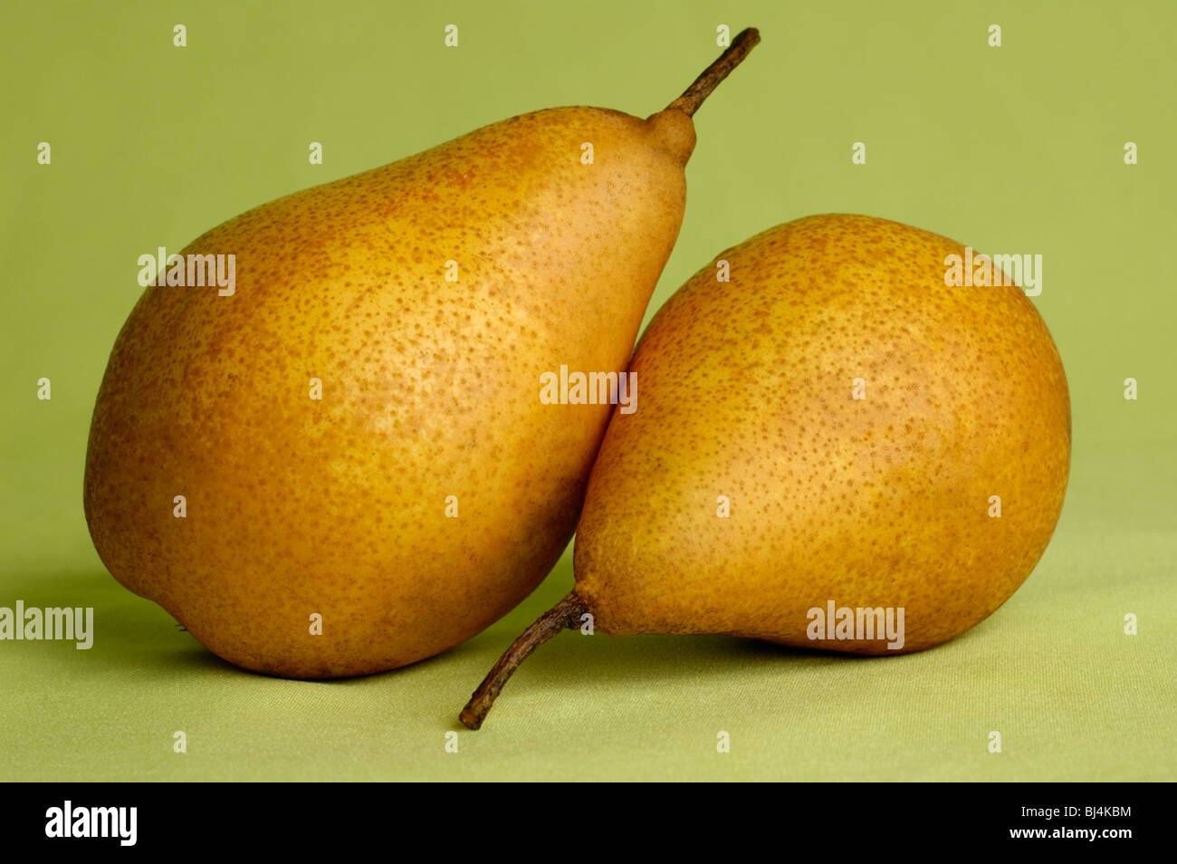 Two pears isolated silhouettes on light green background artistic still-life Stock Photo