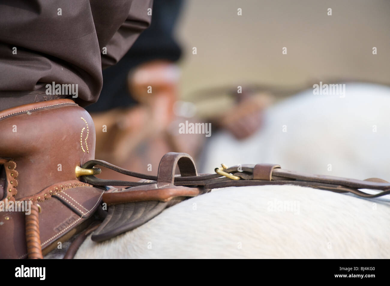 A View across the Traditional saddles of the Camargue Horsemen Stock Photo