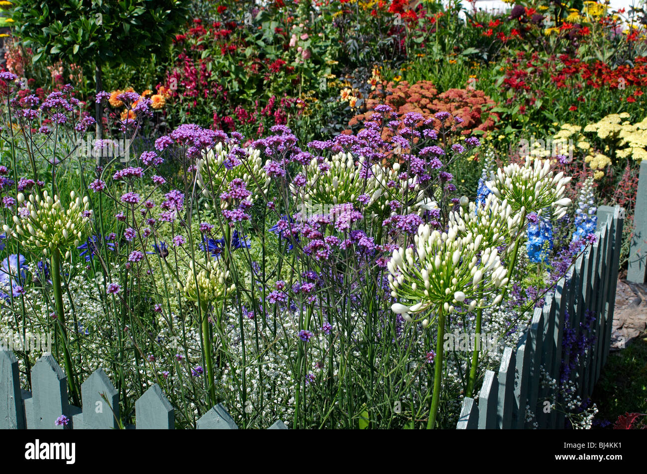 A colourful herbaceous flower border in a English country garden Stock ...