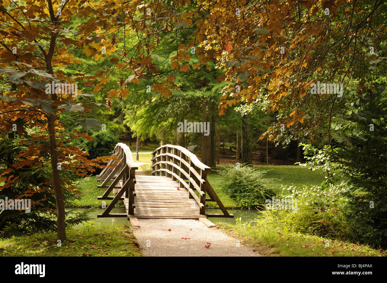 Wooden bridge over the stream and first autumn leaves Stock Photo - Alamy