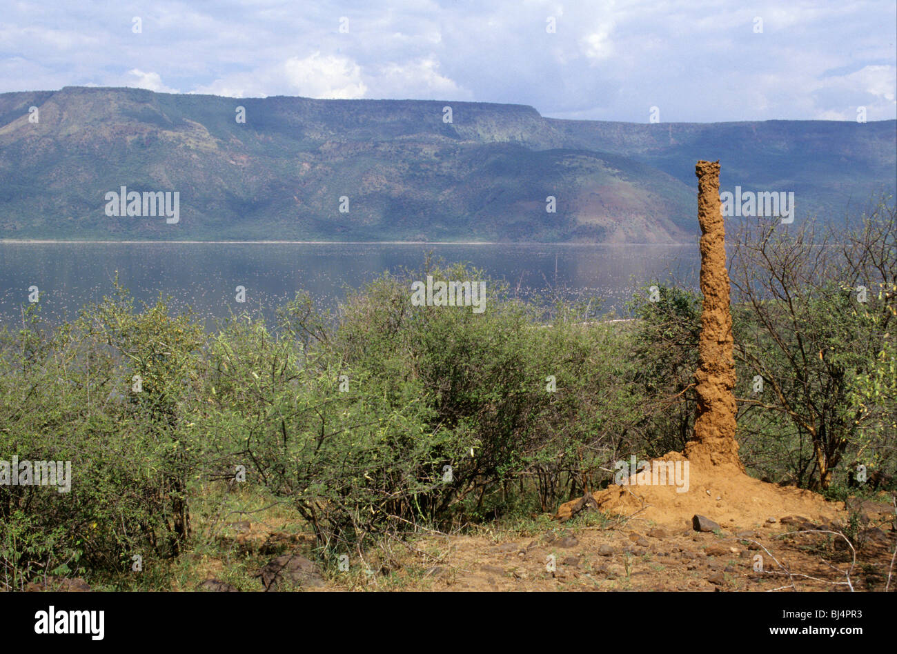 Termite mound, vertical column, typical of this region, Lake Bogoria ...