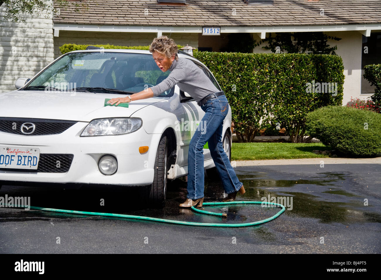 Using a bucket of detergent and a garden hose, an adult woman washes her car with a sponge