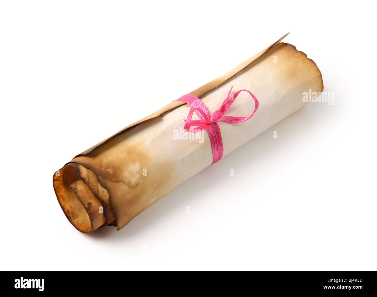 Roll of yellowish burnt vintage parchment tied with a red ribbon Isolated over white background Stock Photo