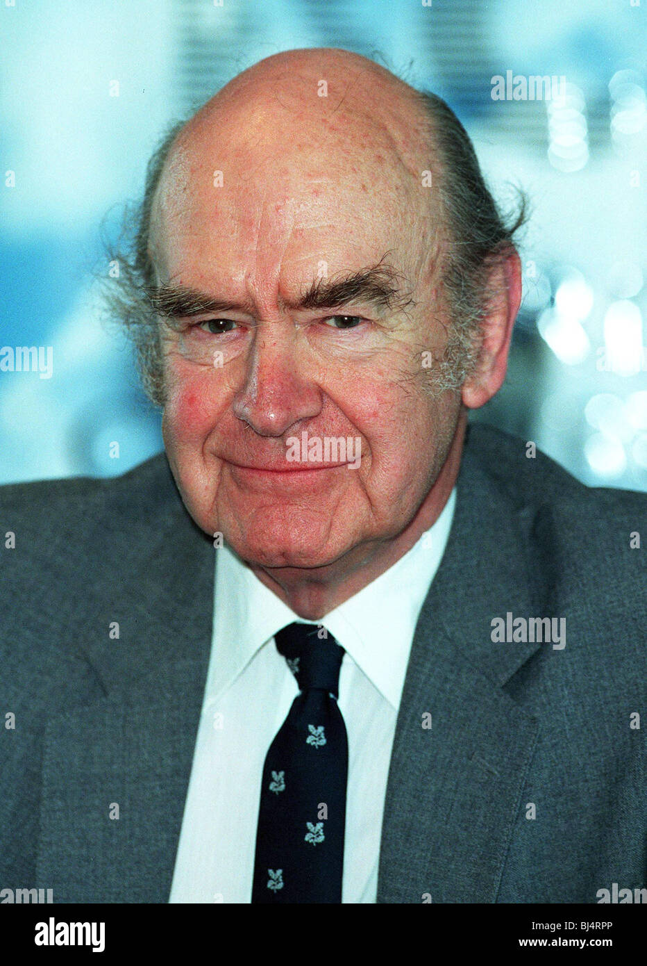 SIR ROBIN IBBS CHAIRMAN 'LLOYDS BANK PLC' 19 June 1995 Stock Photo