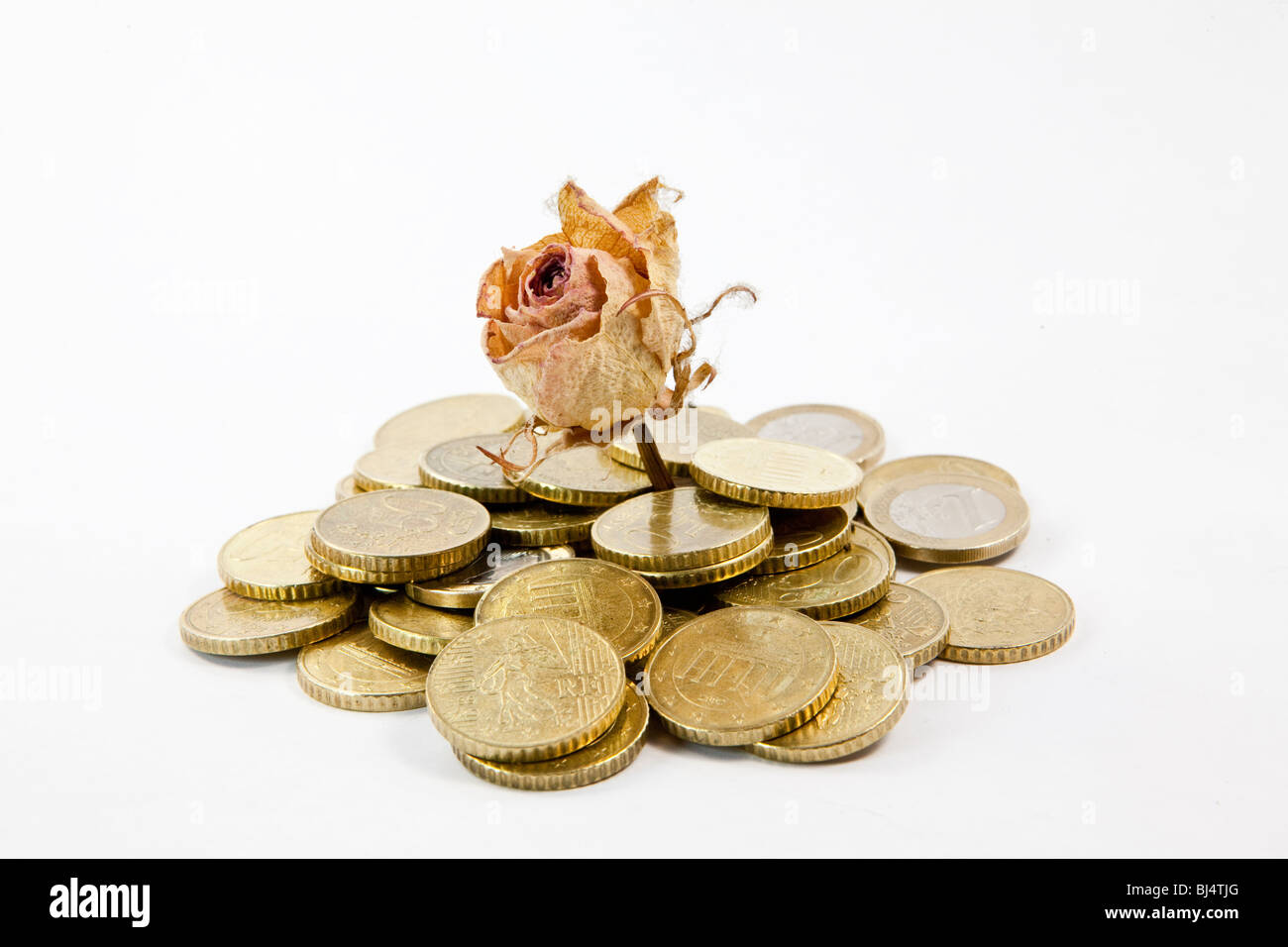 Withered rose, coins, symbolic image for failed investments, no return Stock Photo