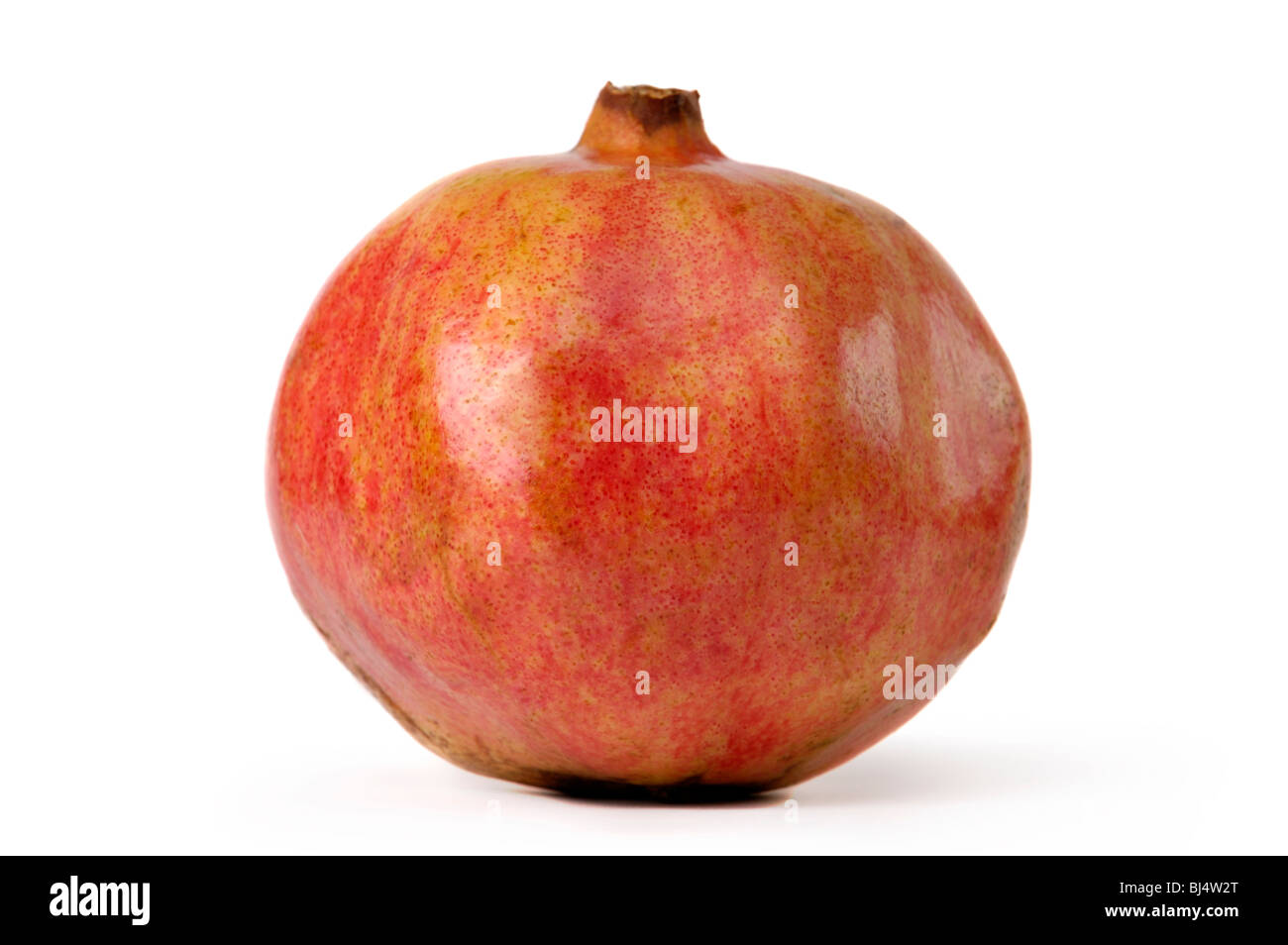 Big red appetizing Iranian pomegranate close-up isolated silhouette on white background Stock Photo