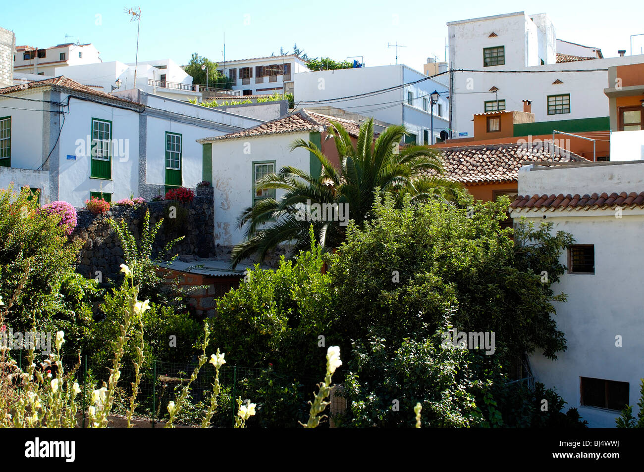 Spanien Kanarische Inseln Teneriffa Bergdorf Arafo Spain Canary Islands Tenerife Arafo Mountain Village Stock Photo Alamy