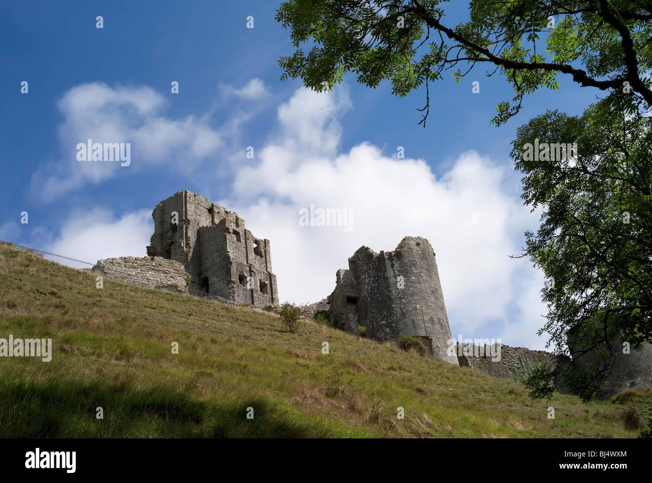 corfe castle in dorset Stock Photo Alamy