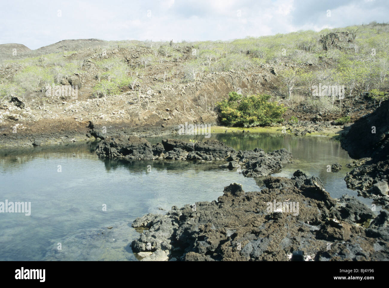 Landscape, Punta Albemarle, Isabela, Galapagos Stock Photo