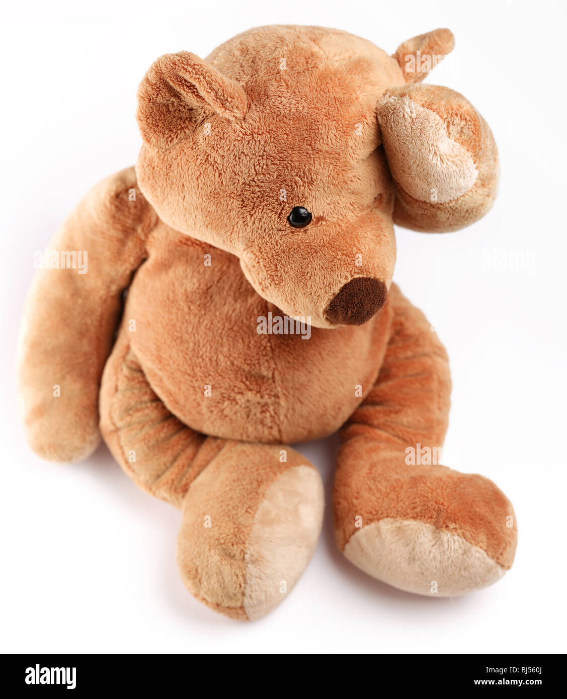 Teddy bear in a worry. Isolated over white. Stock Photo