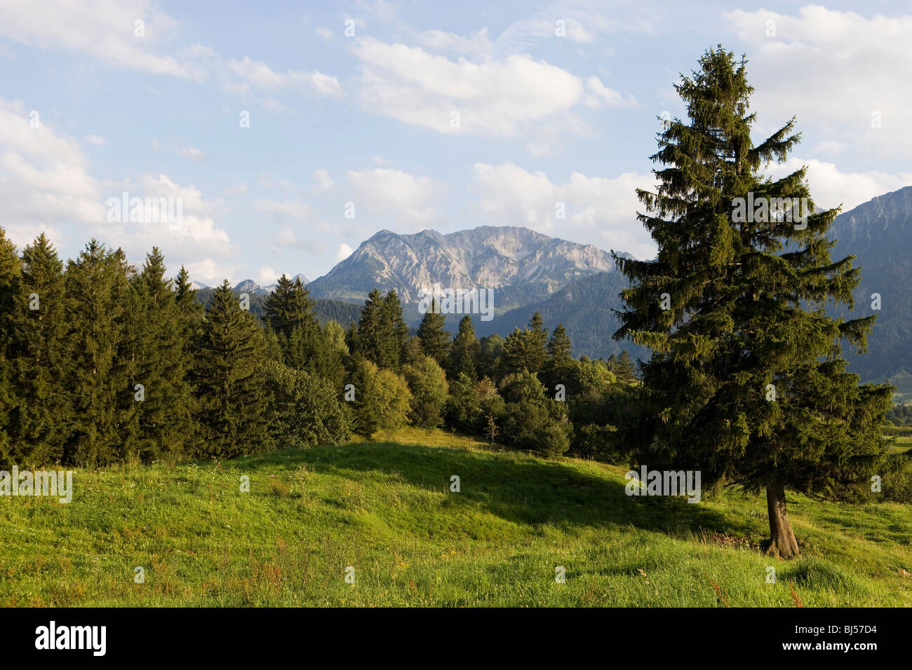 Idyllic Conditions Idyllic landscape hi-res stock photography and images - Alamy